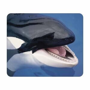 Whale Mouse Pad